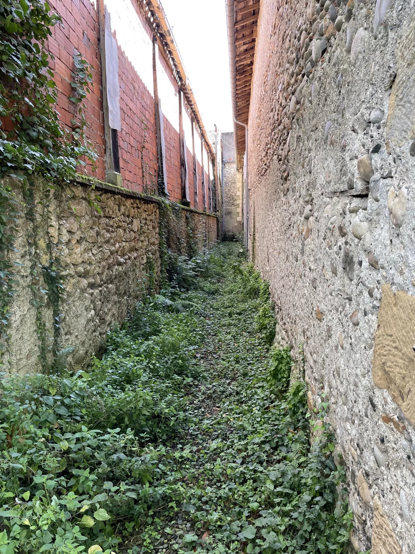 Maison T9 de 245m2 - image 6